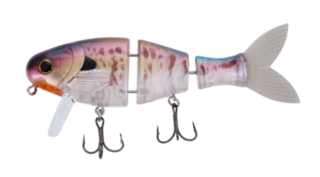 BUCCA BRAND BULL WAKE 5"