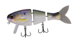 BUCCA BRAND BULL WAKE 5" - 0