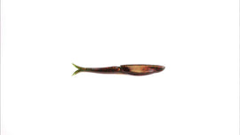 Buy watermelon-red BRUISER BAITS RAD SHAD